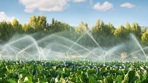 smart irrigation system in garden